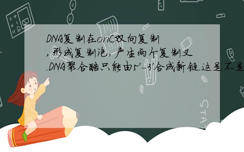 DNA复制在oriC双向复制,形成复制泡,产生两个复制叉.DNA聚合酶只能由5'-3'合成新链.这是不是矛盾了?