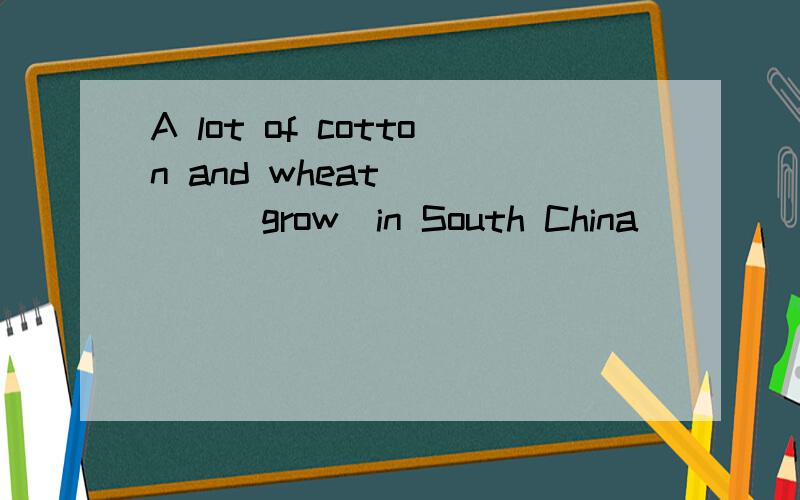 A lot of cotton and wheat_____(grow)in South China