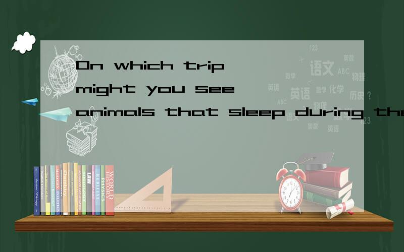 On which trip might you see animals that sleep during the day为什么是might you see这种语序?我怎么觉得是you might see呢……