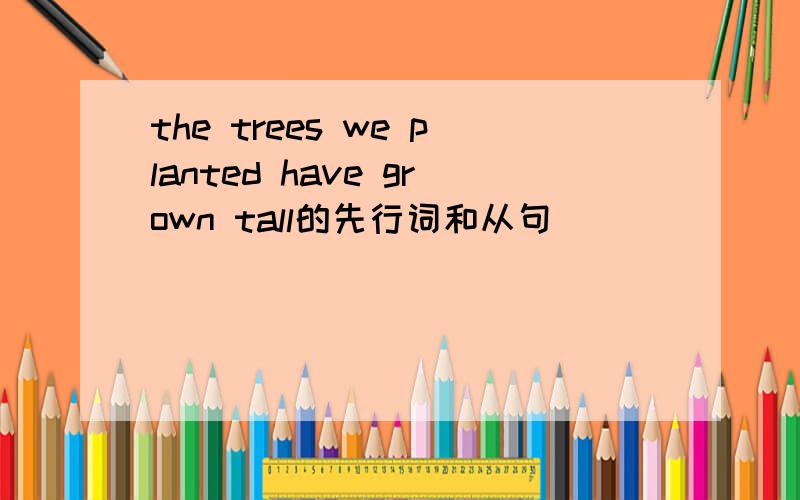 the trees we planted have grown tall的先行词和从句