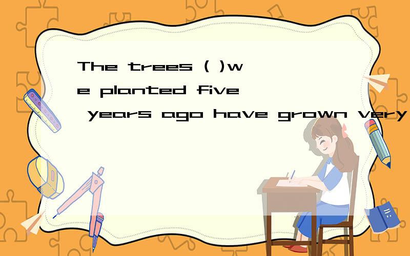 The trees ( )we planted five years ago have grown very big A,that B,whome,C,by which D,why