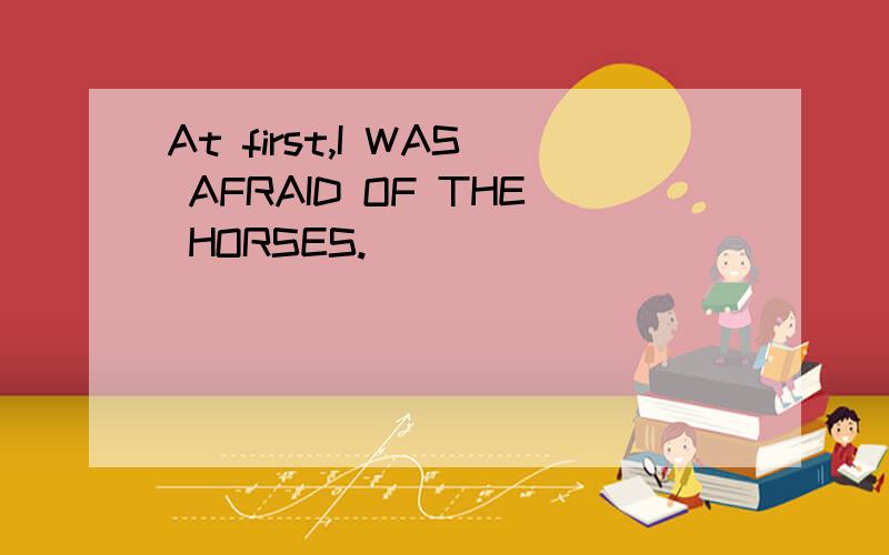 At first,I WAS AFRAID OF THE HORSES.