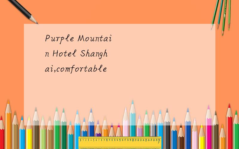 Purple Mountain Hotel Shanghai,comfortable