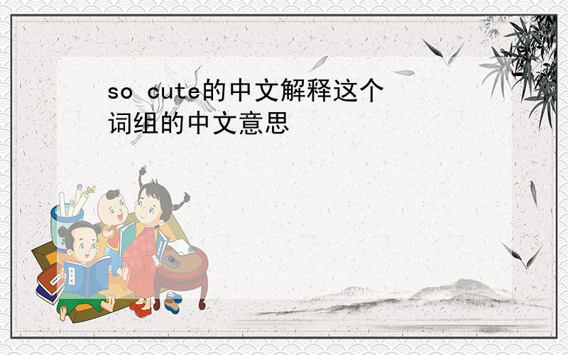 so cute的中文解释这个词组的中文意思