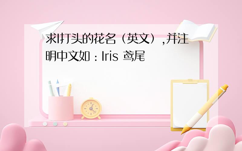 求I打头的花名（英文）,并注明中文如：Iris 鸢尾