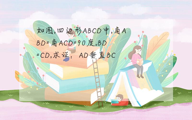 如图,四边形ABCD中,角ABD=角ACD=90度,BD=CD,求证：AD垂直BC