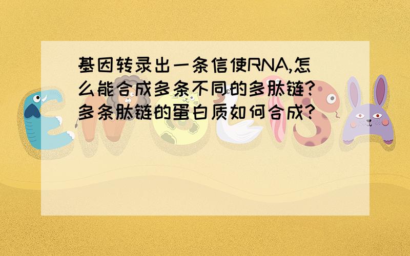 基因转录出一条信使RNA,怎么能合成多条不同的多肽链?（多条肽链的蛋白质如何合成?）