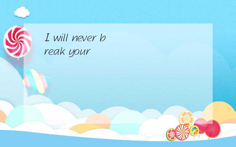 I will never break your
