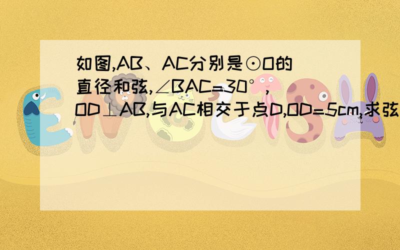 如图,AB、AC分别是⊙O的直径和弦,∠BAC=30°,OD⊥AB,与AC相交于点D,OD=5cm,求弦AC圆